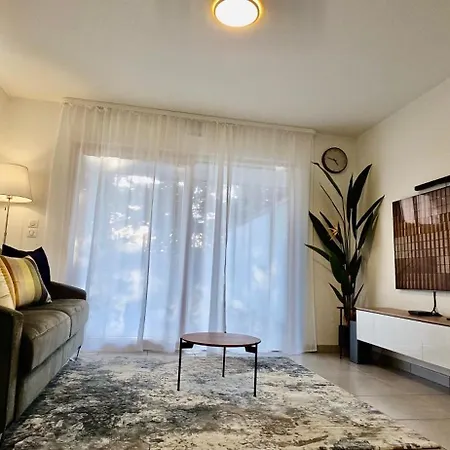 Center Airport Swiss Border Shopping Mall Appartement