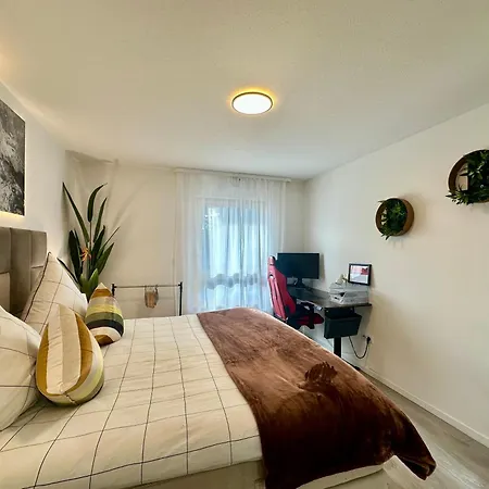 Center Airport Swiss Border Shopping Mall Saint-Louis (Haut-Rhin)