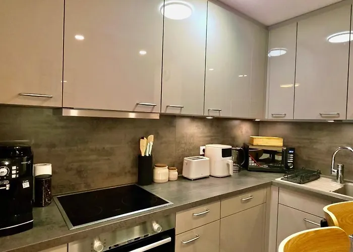 Center Airport Swiss Border Shopping Mall Appartement Saint-Louis (Haut-Rhin)