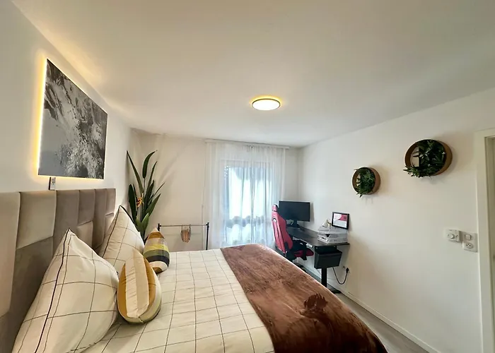 Center Airport Swiss Border Shopping Mall Saint-Louis (Haut-Rhin)